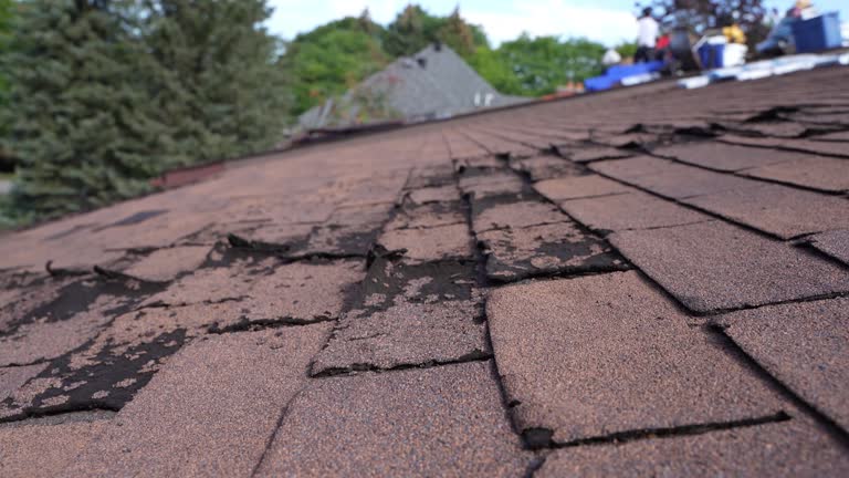 Best Storm Damage Roof Repair  in Deenwood, GA